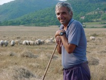 Bulgarian Shepherd