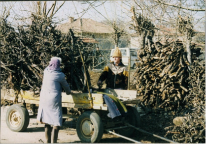 Bulgarian grandparents in country side